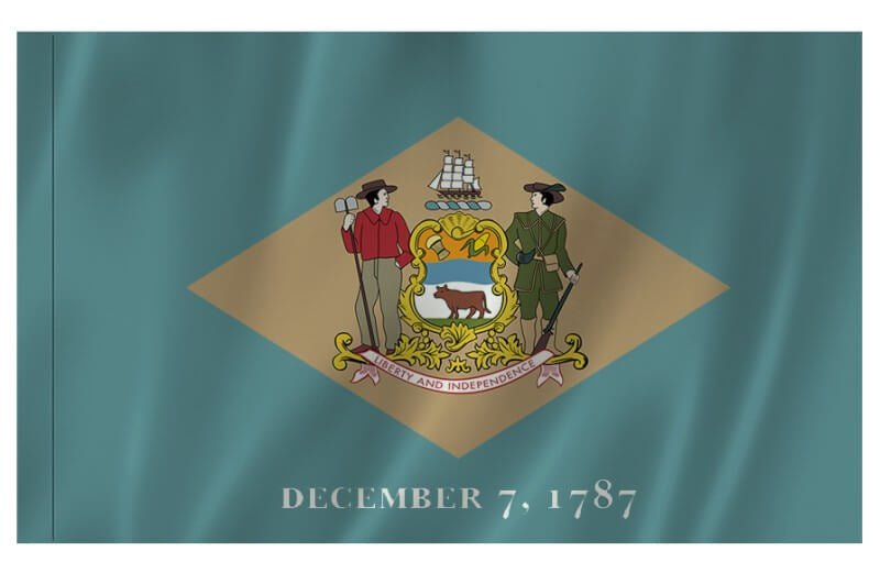 Delaware Nylon Indoor/Outdoor Flag with Sleeve - Action Flag