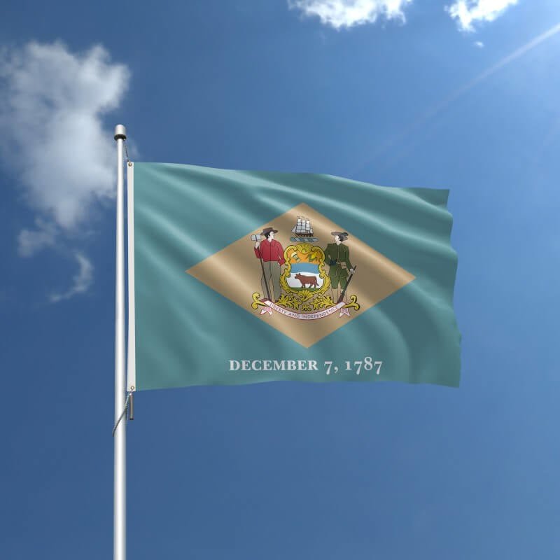 Delaware Nylon Outdoor Flag - Action Flag