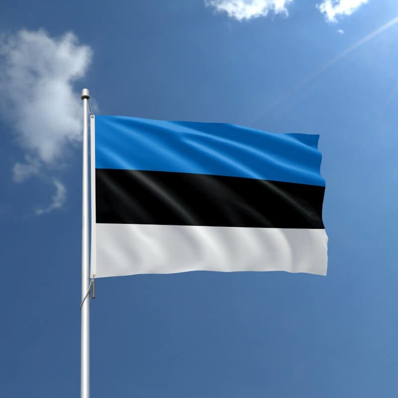 Estonia Nylon Outdoor Flag - Action Flag