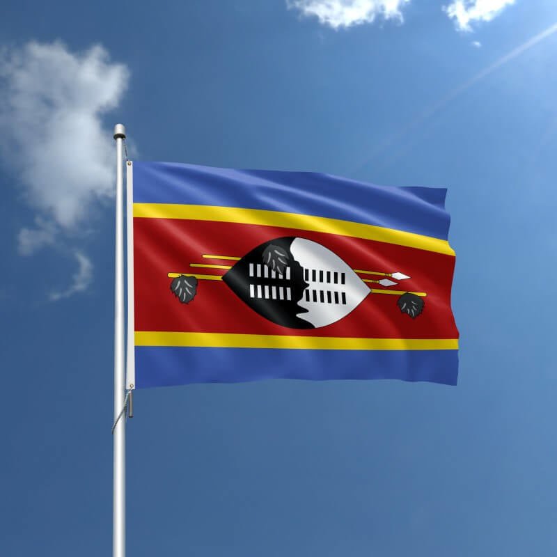 Eswatini Nylon Outdoor Flag - Action Flag