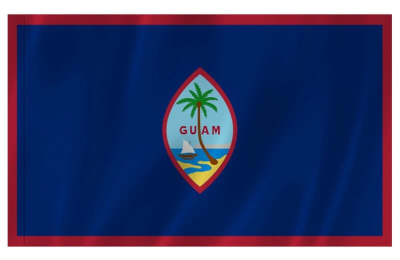 Outdoor Flag with Sleeve - Action Flag