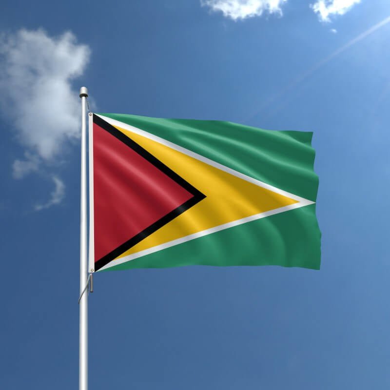 Guyana Nylon Outdoor Flag - Action Flag