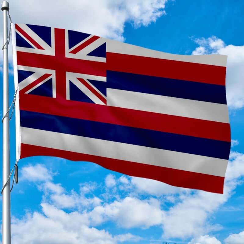 Hawaii Heavy Weight Poly - Max Outdoor Flag - Action Flag