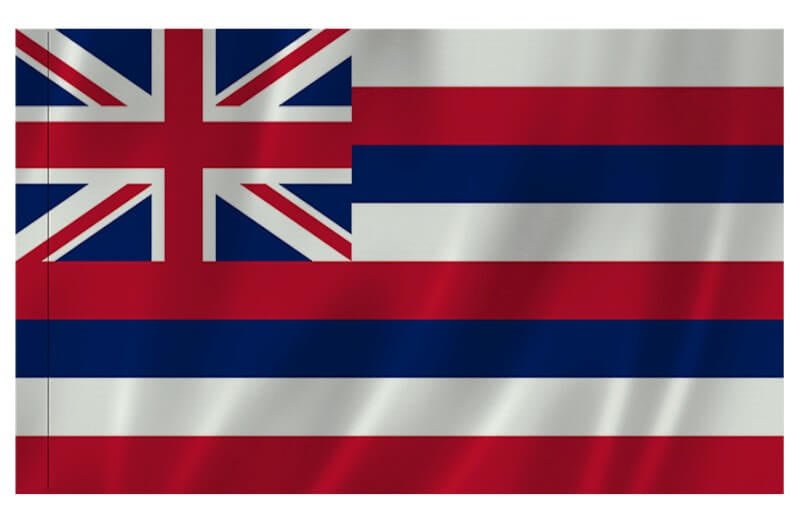 Hawaii Nylon Indoor/Outdoor Flag with Sleeve - Action Flag