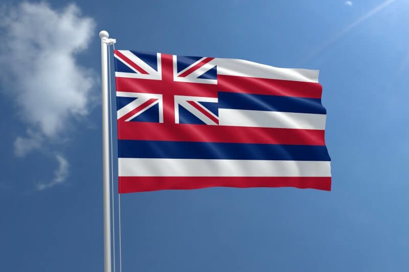 Hawaii Nylon Outdoor Flag - Action Flag
