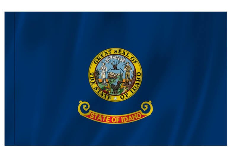 Idaho Nylon Indoor/Outdoor Flag with Sleeve - Action Flag