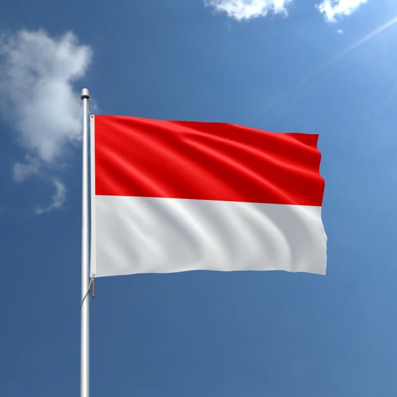 Indonesia Nylon Outdoor Flag - Action Flag