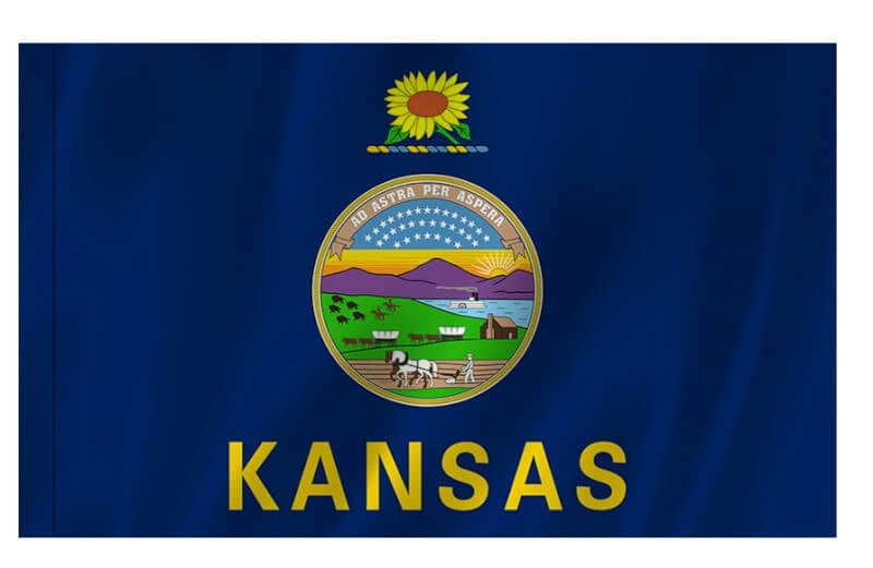 Kansas Nylon Indoor/Outdoor Flag with Sleeve - Action Flag
