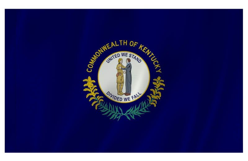 Kentucky Nylon Indoor/Outdoor Flag with Sleeve - Action Flag