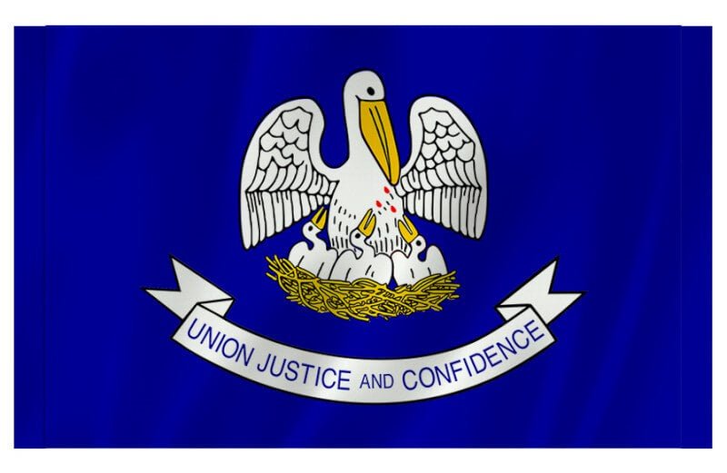 Outdoor Flag with Sleeve - Action Flag