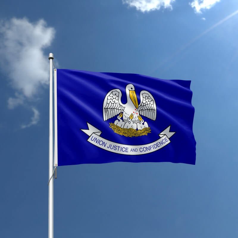 Louisiana 2010 Nylon Outdoor Flag - Action Flag