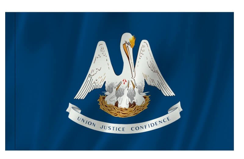 Outdoor Flag with Sleeve - Action Flag