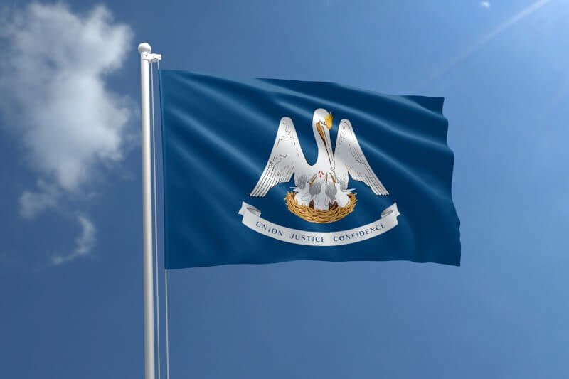 Louisiana Nylon Outdoor Flag - Action Flag