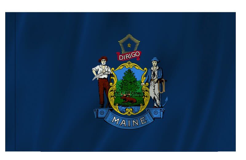 Maine Nylon Indoor/Outdoor Flag with Sleeve - Action Flag