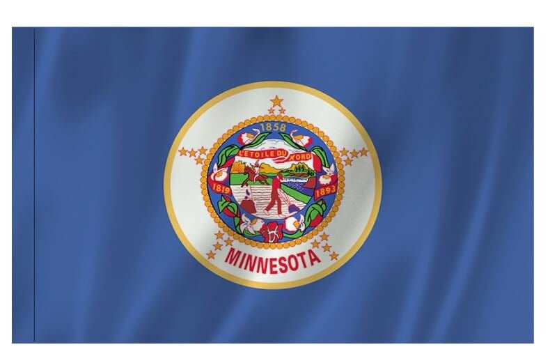 Minnesota Nylon Indoor/Outdoor Flag with Sleeve - Action Flag