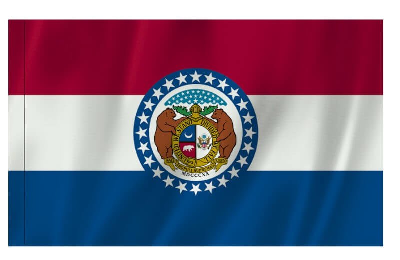 Outdoor Flag with Sleeve - Action Flag