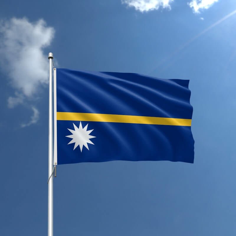Nauru Nylon Outdoor Flag - Action Flag