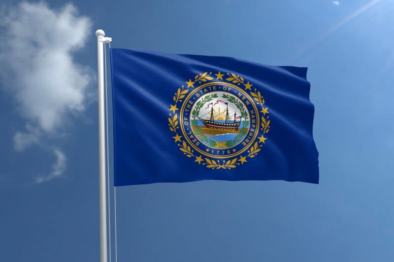 New Hampshire Nylon Outdoor Flag - Action Flag