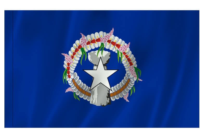 Outdoor Flag with Sleeve - Action Flag