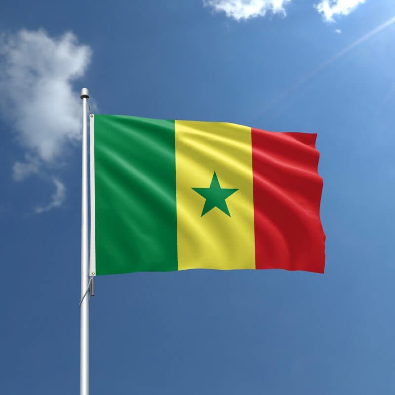 Senegal Nylon Outdoor Flag - Action Flag