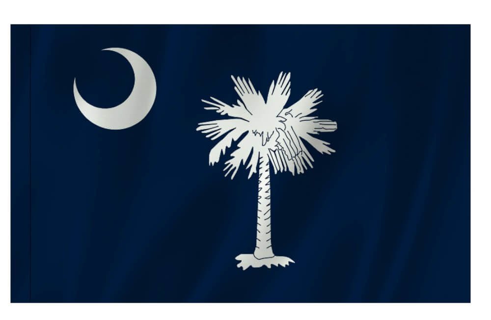South Carolina Nylon Indoor/Outdoor Flag with Sleeve - Action Flag