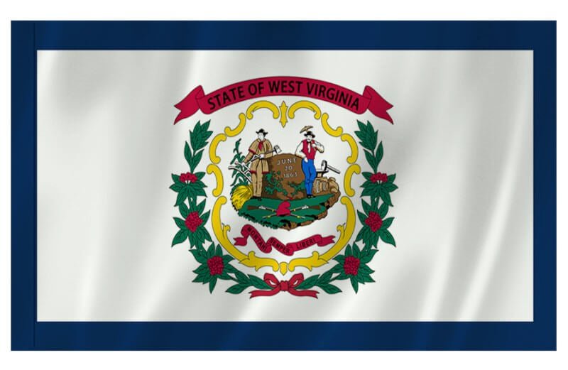 West Virginia Nylon Indoor/Outdoor Flag with Sleeve - Action Flag
