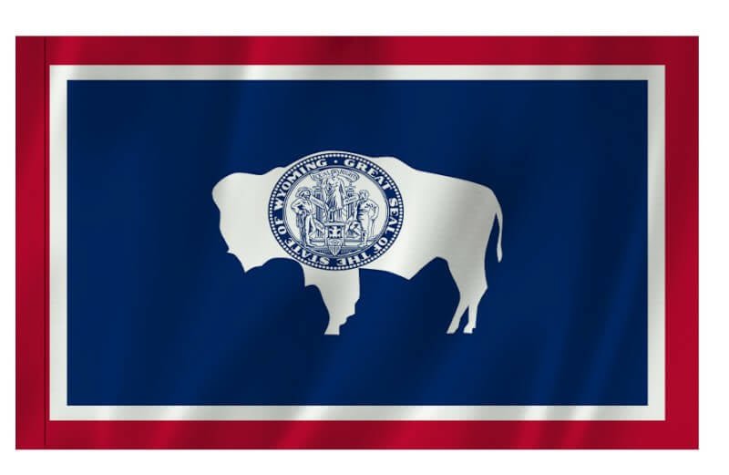 Outdoor Flag with Sleeve - Action Flag